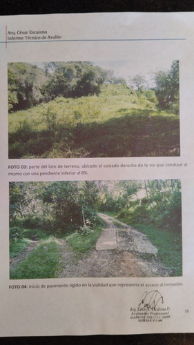 Imagen 23 de 30 de Casa De Campo, Galpón, Café, Siembra, Proyecto De Vino