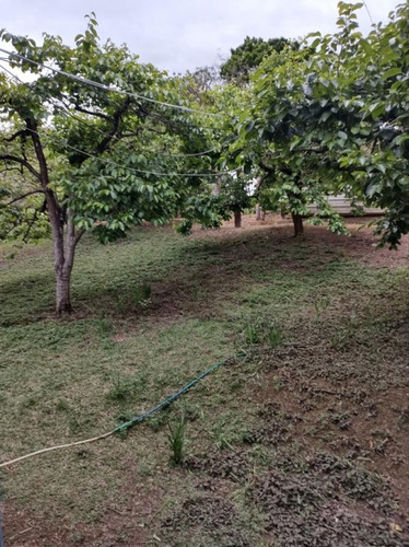 Imagem 7 de 30 de Chácara Para Venda - Figueira Grande, Santa Branca - 10000m² - 2579