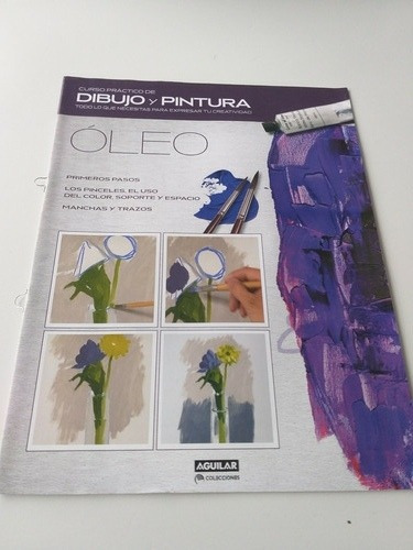 Dvd Y Fascículos Curso Práctico De Dibujo Y Pintura 1 (Usado)
