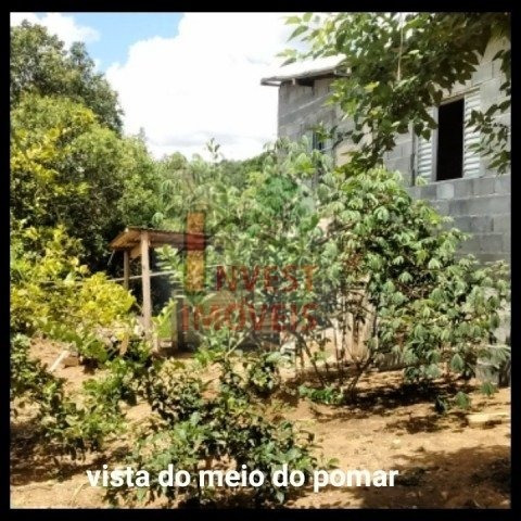Imagem 13 de 15 de Chacara - Ref: 5241 - V-5241