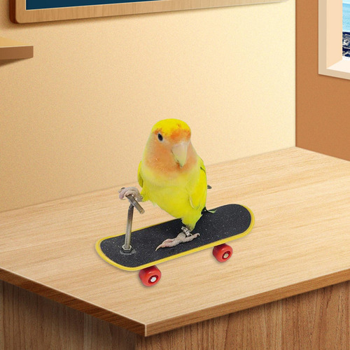 Juguetes Para Loros, Juguetes Para Pájaros, Soporte Para