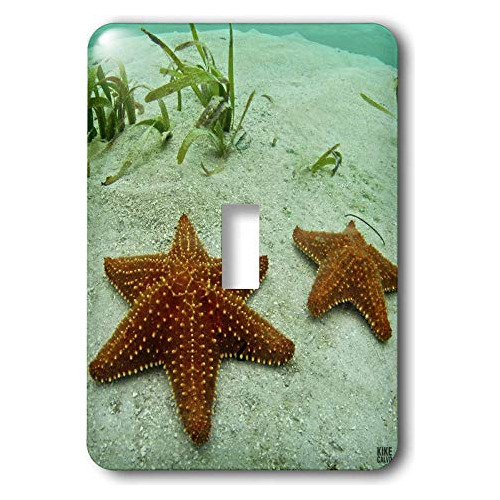 Estrella De Mar, Islas San Blas