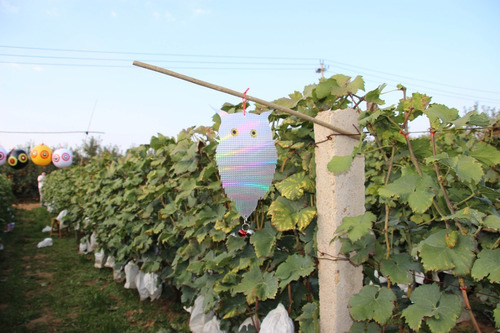 3 X Búhos Espantapájaros Reflectante Y Ruido Con Campanilla 