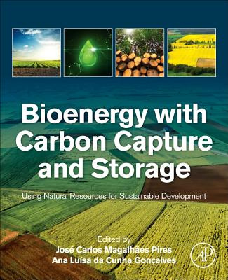 Libro Bioenergy With Carbon Capture And Storage: Using Na...