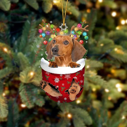 Adorno Navidad Para Perro Arbol Bolsillo Nieve Idea Regalo