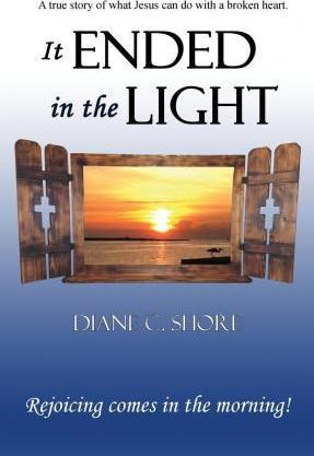 Libro It Ended In The Light - Diane C Shore