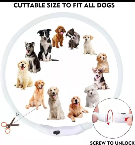 Imagen 5 de 8 de Collar Para Perro Luminoso Luz Led Carga Usb Talla L 65cm