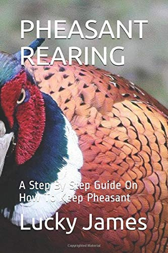 Pheasant Rearing A Step By Step Guide On How To Keep Pheasan
