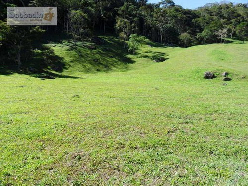 Imagem 11 de 20 de Terreno Residencial À Venda, Pedro Do Rio, Petrópolis. - Te0025