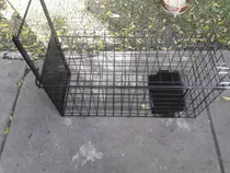 Comprar Jaula Trampa 