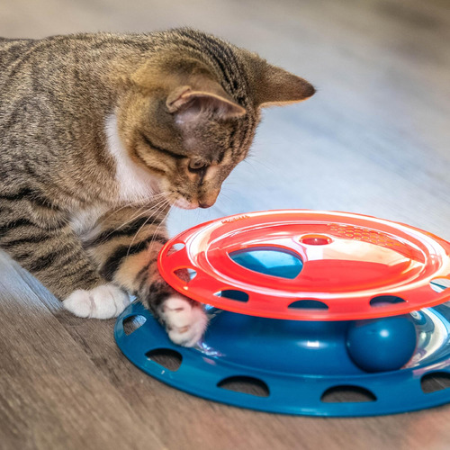 Catnip Catnip Chase Track Red And Blue Interactive Cat Toy,