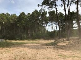 Imagen 4 de 8 de Lotes Continuos En Pinamar Norte A 500 Mts Del Mar