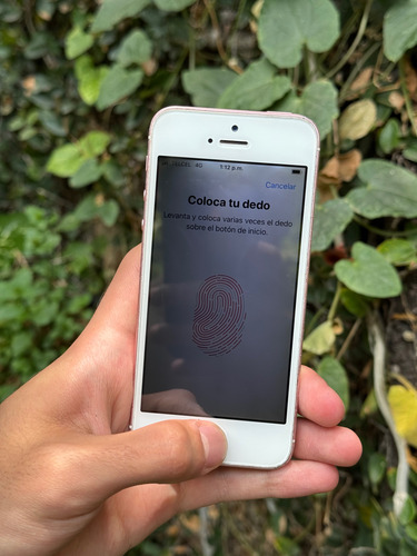 iPhone SE 1ra Generación 32gb Libre - Con Bypass Y Señal (Usado)