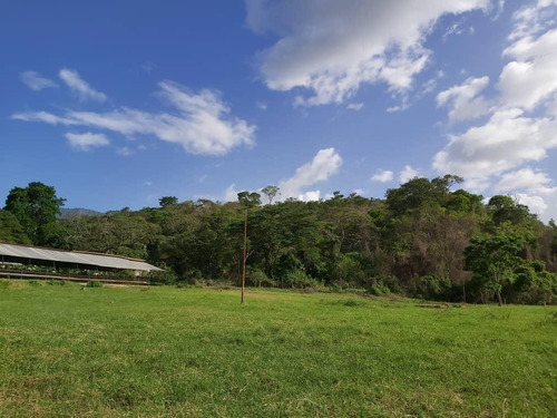 Imagen 11 de 11 de Precio Oportunidad Granja Aves Carlos Arvelo - Anggi Zerpa