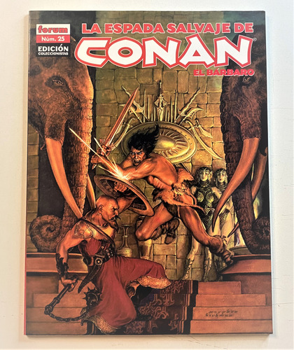 La Espada Salvaje De Conan 25 Edición Coleccionista Stock