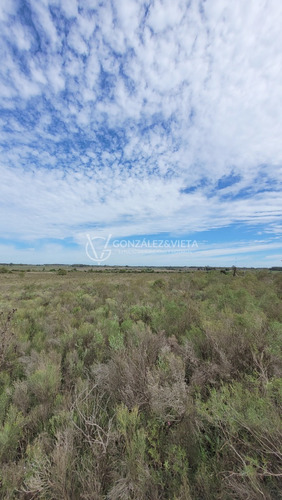 Venta Campo Sauce Totoral Canelones 9 Hectáreas Y Media Agricola Ganadero Ruta 86