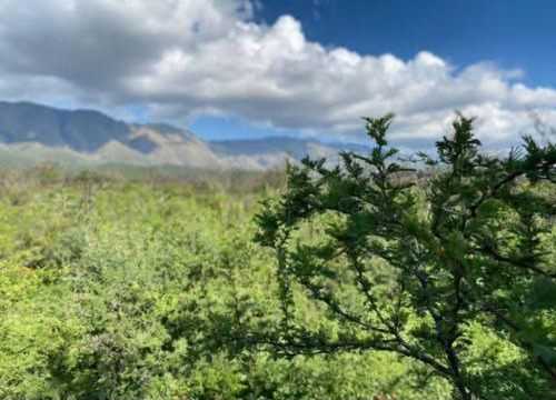 Campo 4 Hectareas En Corralito Arriba, Traslasierra, Cordoba (ref 211)