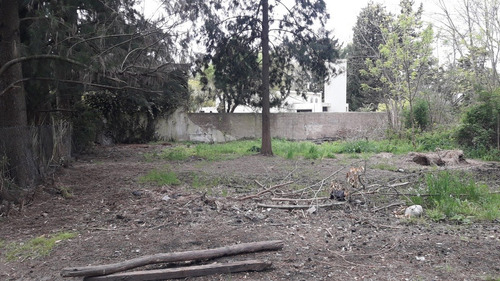 Imagen 4 de 5 de Lote De 996m2 En El Rodeo