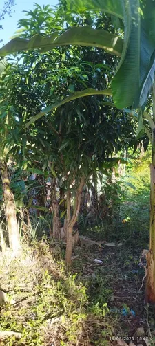 Lote 13m X 16,5m