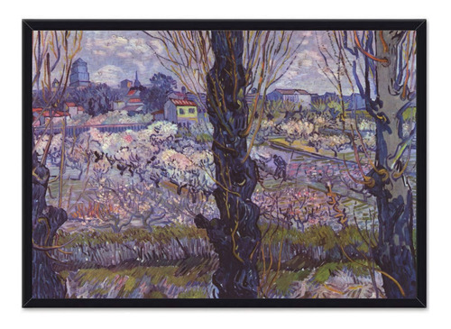 Cuadro Enmarcado - Vincent Van Gogh 