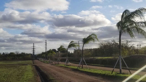 Imagen 2 de 8 de Sarmiento Chico Loteo Venta En Lujan
