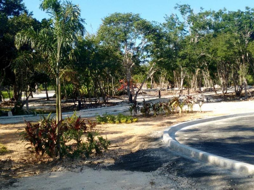 Imagen 14 de 27 de Venta Terreno Dzidzilche