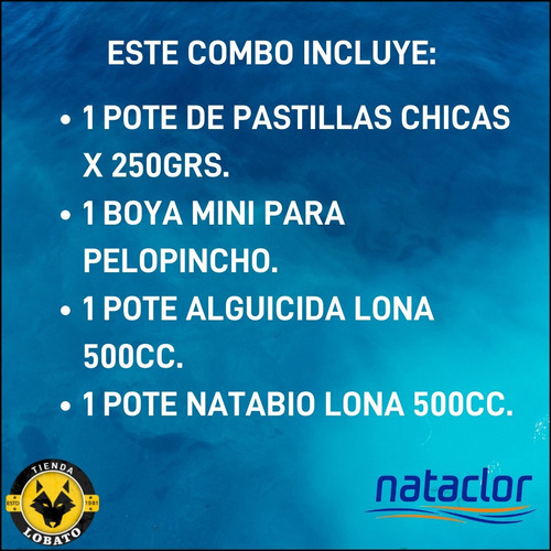 Imagen 2 de 10 de Combo Pastillas Boya + Alguicida Natabio Piletas Lona Cloro