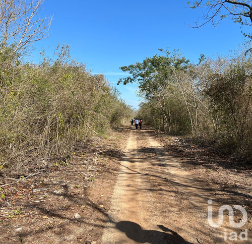 Venta Terreno 0 Ambiente Dzidzantún