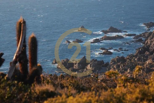 Hermosa Parcela Entre Tongoy Y Los Vilos.