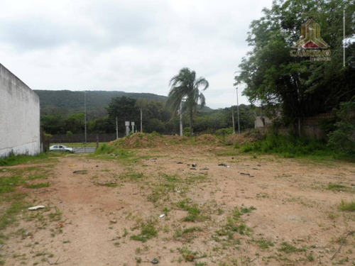 Imagem 1 de 12 de Terreno Residencial À Venda, Agronomia, Porto Alegre. - Te0069