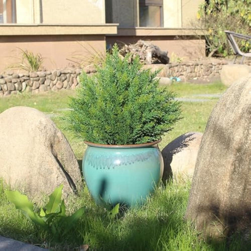 Árbol De Bolas Arbusto Pequeño Artificial De 60 Cm Anti-uv