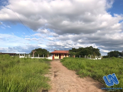 Imagem 1 de 17 de Fazenda Em Coração De Maria Com 50 Tarefas - Afd065 - 70725770