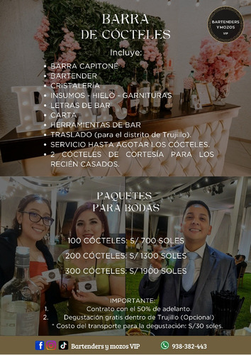 Open Bar Y Cócteles Para Eventos: Bartender, Barra E Insumos