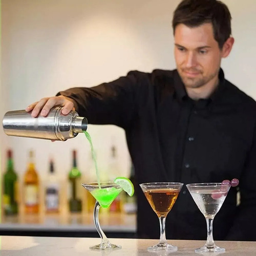 Cocktail Bar Utensilios Kit 23 Piezas 750ml Shaker Boston