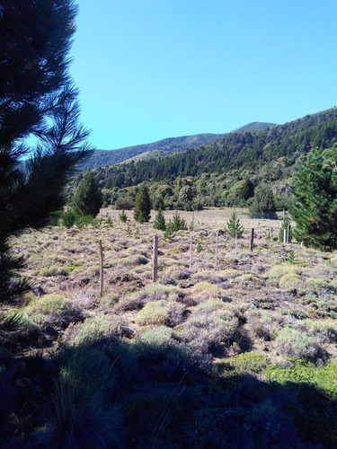 Venta De Lote En Lolog, Junin De Los Andes, Neuquén