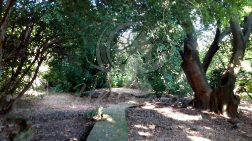 Imagem 5 de 17 de Chácara À Venda Em Parque Universitário De Viracopos - Ch034332