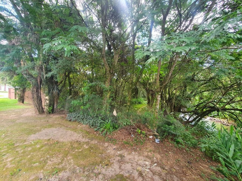 Imagem 11 de 19 de Área À Venda, 5053 M² Por R$ 1.350.000,00 - Tingui - Curitiba/pr - Ar0001