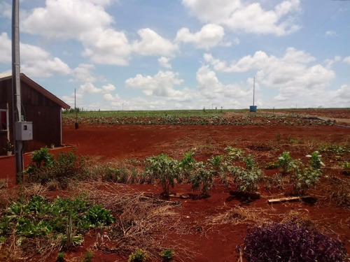 Chácara Próxima Da Cidade Entre Rios Do Oeste