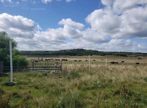 Imagen 9 de 15 de Campo Ganadero En San Jose De 126 Ha, Sierra De Mahoma, Ganadero