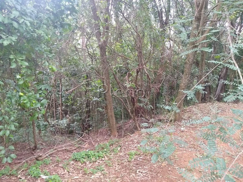 Imagem 3 de 15 de Terreno À Venda Em Joaquim Egídio - Te028079