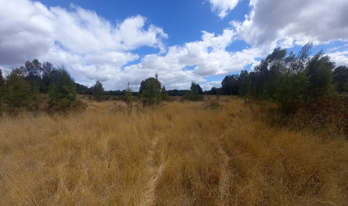 Hermosa Parcela Cerca De Villarrica, Loncoche 50 Millones