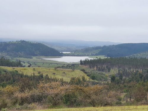 Proyecto Bosque Escondido, Marchigue Vi Región