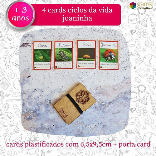 Cards Ciclo Da Vida Joaninha (4un) - Brinquedo Infantil
