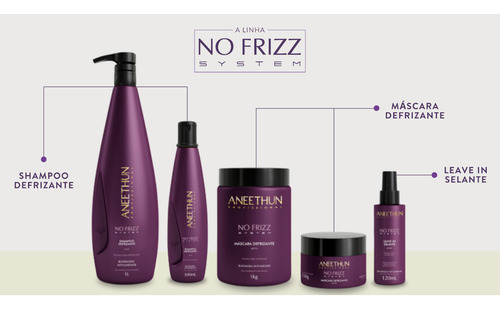 No Frizz Aneethun Kit Shampoo + Mascara + Cond - Lançamento