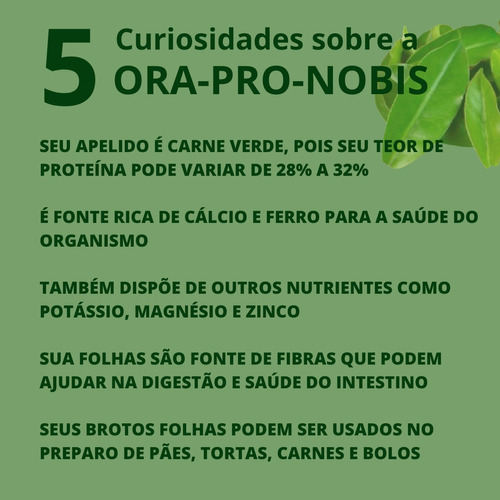 Ora Pro Nobis 60 cápsulas, vitaminas, minerales, fibras, natunéctar, sabor, sin sabor