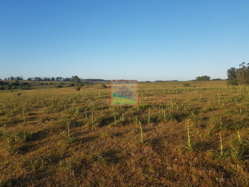 Imagen 11 de 12 de Chacra 7 Hás Rincón De José Ignacio