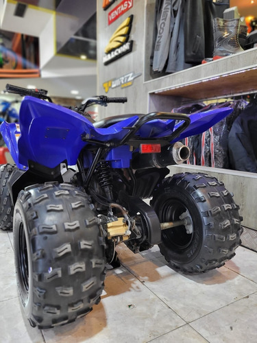 Imagen 3 de 6 de Yamaha Raptor 90 Año 2010 Excelente Estado