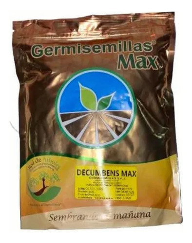 Semillas De Pastos Brachiaria Decumbens Bolsa Por 1 Kilo