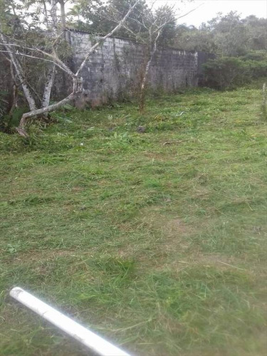 Imagem 3 de 13 de Rural - Venda - Aguapeu - Itanhaem - Ita2629