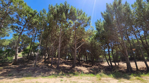 Imagen 17 de 21 de Venta Lote Maritimo Iii - Costa Esmeralda